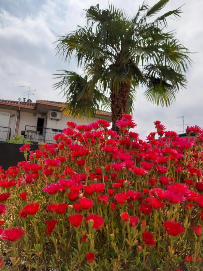 Villa Marianna Garda Lake Peschiera del Garda Cameră foto